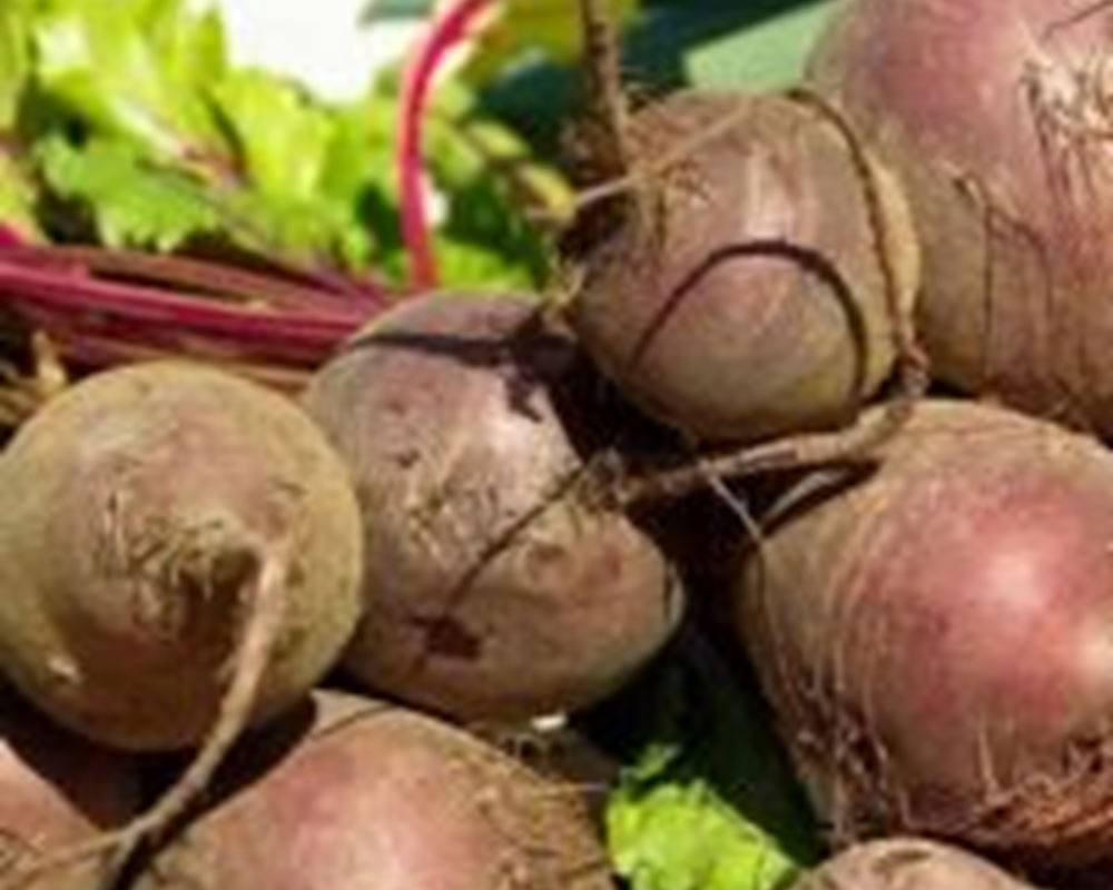 Organic Beetroot  1kg